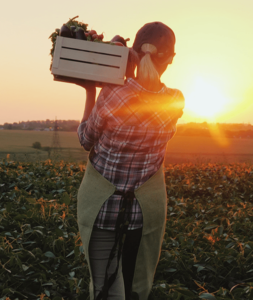 The healed soils become biodiverse farms that generate future income illustration
